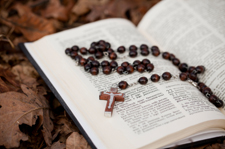 Catholic Drug Rehabilitation