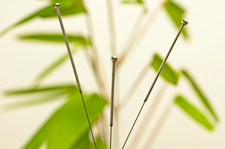 Holistic Addiction Treatment